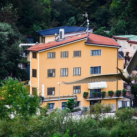 Albergo Terme Santamaria Кастельфорте Екстер'єр фото